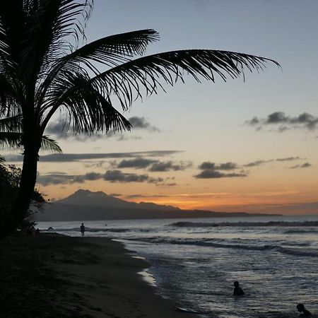 La Villa Caribeenne De La Plage Des Surfeurs ラ・トリニテ エクステリア 写真