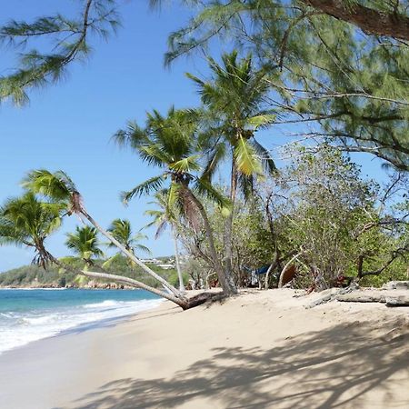 La Villa Caribeenne De La Plage Des Surfeurs ラ・トリニテ エクステリア 写真