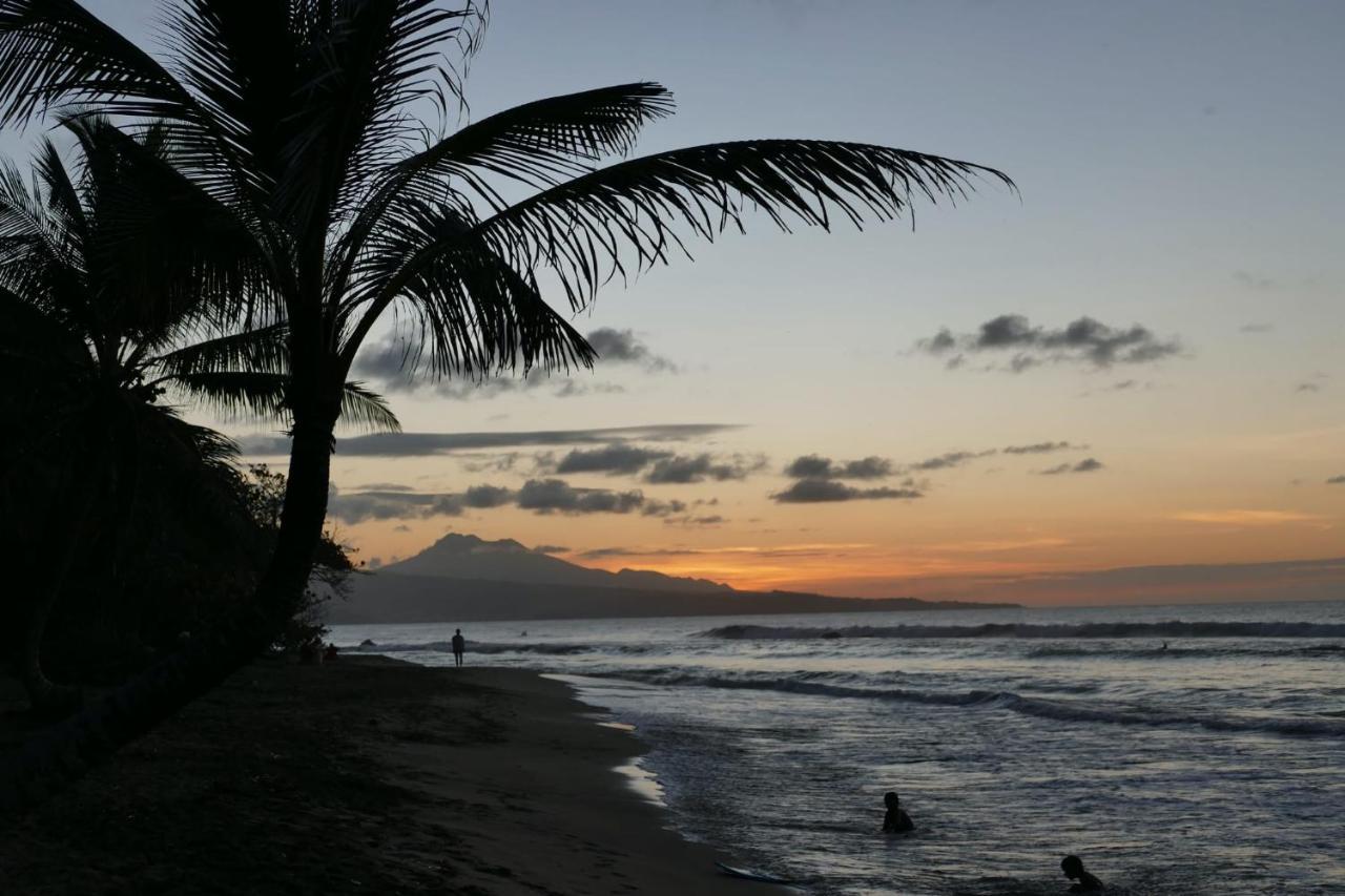 La Villa Caribeenne De La Plage Des Surfeurs ラ・トリニテ エクステリア 写真